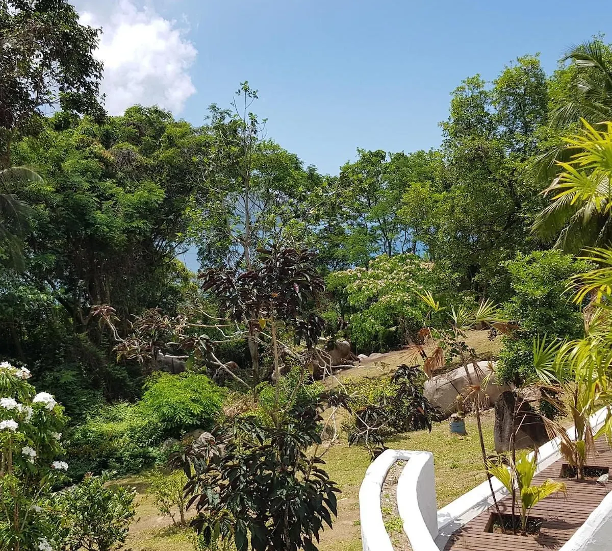 Brown Sugar Lodge Beau Vallon  0*, Beau Vallon (Mahe)